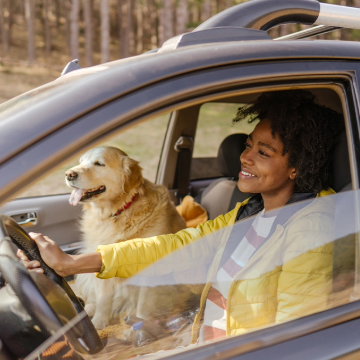 FDIC-1.jpg Happy lady driving SUV with a white dog in passenger seat