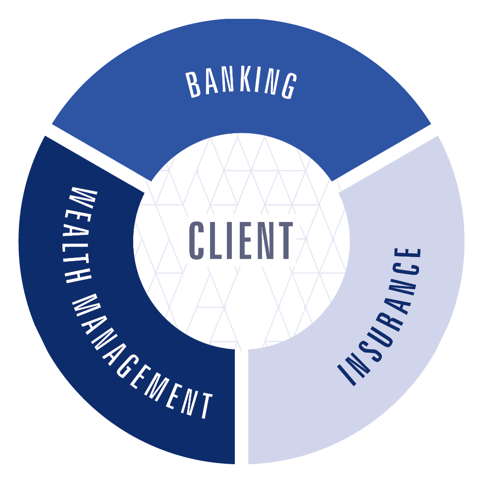 Circle graph with client at center with banking, wealth management, and insurance surrounding the client