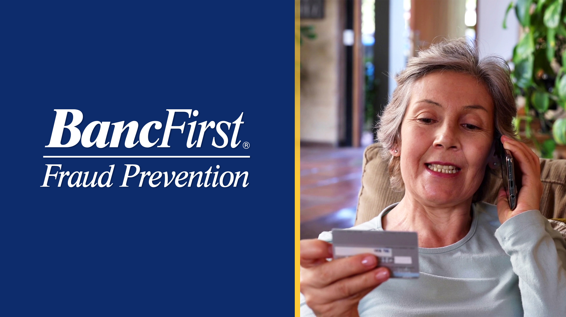 Video preview - Things to Know About Fraud